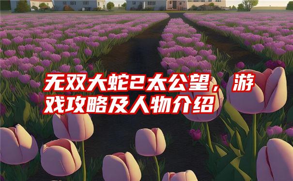 无双大蛇2太公望，游戏攻略及人物介绍