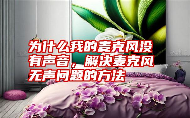 为什么我的麦克风没有声音，解决麦克风无声问题的方法