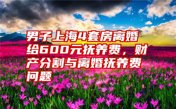 男子上海4套房离婚给600元抚养费，财产分割与离婚抚养费问题