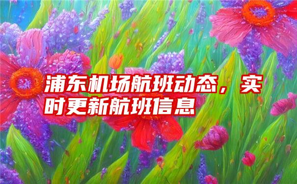 浦东机场航班动态，实时更新航班信息