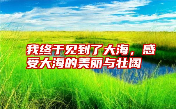 我终于见到了大海,感受大海的美丽与壮阔