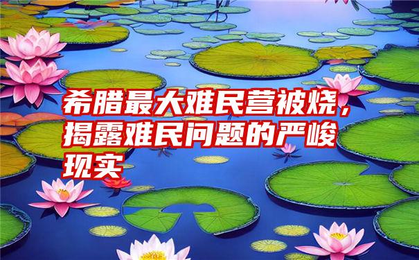 希腊最大难民营被烧，揭露难民问题的严峻现实