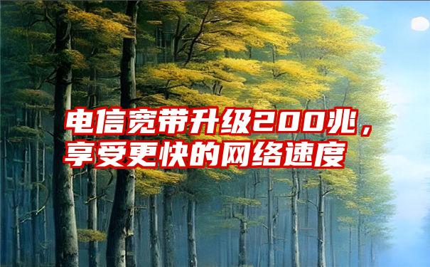 电信宽带升级200兆，享受更快的网络速度