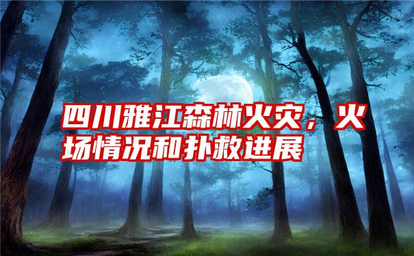 四川雅江森林火灾,火场情况和扑救进展