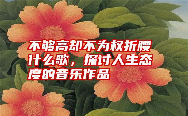 不够高却不为权折腰什么歌，探讨人生态度的音乐作品