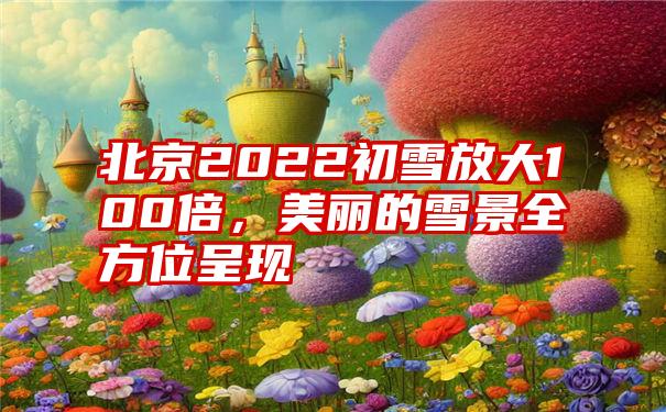 北京2022初雪放大100倍,美丽的雪景全方位呈现