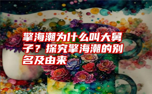 擎海潮为什么叫大舅子？探究擎海潮的别名及由来