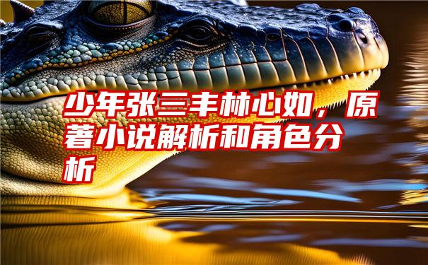 少年张三丰林心如,原著小说解析和角色分析