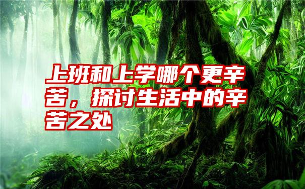 上班和上学哪个更辛苦,探讨生活中的辛苦之处