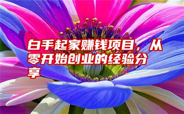 白手起家赚钱项目,从零开始创业的经验分享