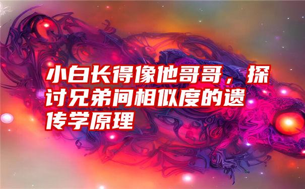 小白长得像他哥哥,探讨兄弟间相似度的遗传学原理