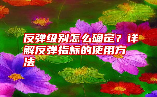 反弹级别怎么确定？详解反弹指标的使用方法