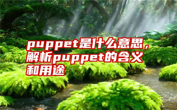 puppet是什么意思，解析puppet的含义和用途