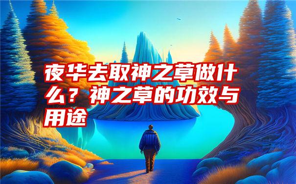 夜华去取神之草做什么？神之草的功效与用途