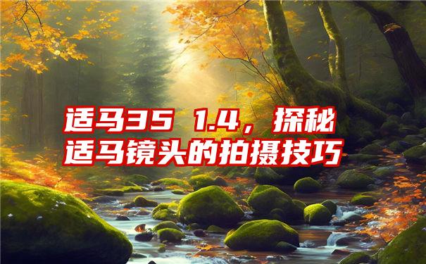 适马35 1.4，探秘适马镜头的拍摄技巧