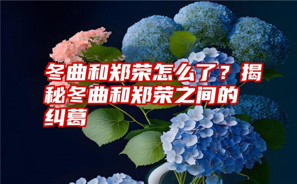 冬曲和郑荣怎么了?揭秘冬曲和郑荣之间的纠葛