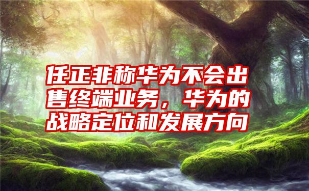 任正非称华为不会出售终端业务，华为的战略定位和发展方向