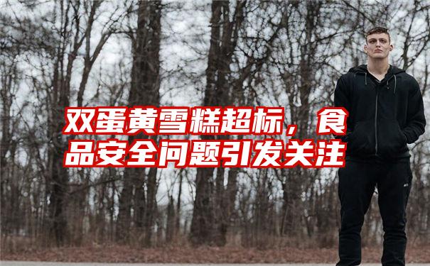 双蛋黄雪糕超标，食品安全问题引发关注