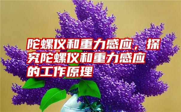 陀螺仪和重力感应，探究陀螺仪和重力感应的工作原理