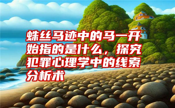 蛛丝马迹中的马一开始指的是什么，探究犯罪心理学中的线索分析术