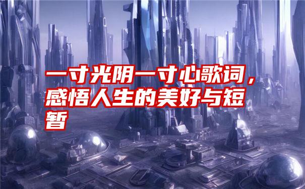 一寸光阴一寸心歌词，感悟人生的美好与短暂
