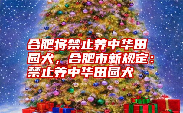 合肥将禁止养中华田园犬，合肥市新规定：禁止养中华田园犬