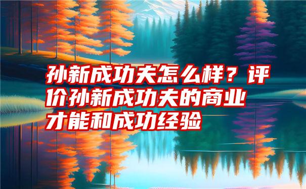 孙新成功夫怎么样？评价孙新成功夫的商业才能和成功经验