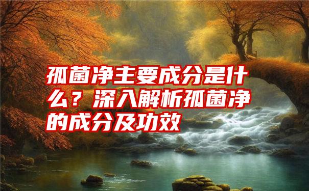 孤菌净主要成分是什么？深入解析孤菌净的成分及功效