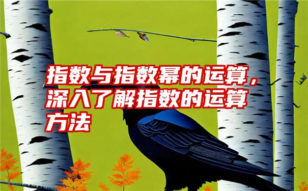 指数与指数幂的运算,深入了解指数的运算方法