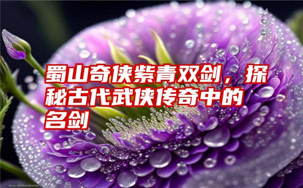 蜀山奇侠紫青双剑，探秘古代武侠传奇中的名剑