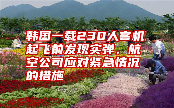 韩国一载230人客机起飞前发现实弹，航空公司应对紧急情况的措施