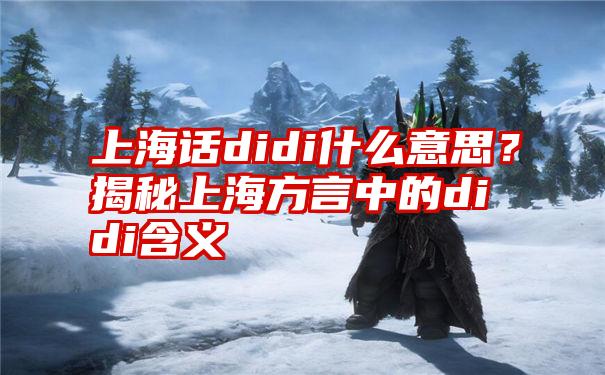 上海话didi什么意思？揭秘上海方言中的didi含义