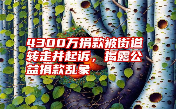 4300万捐款被街道转走并起诉，揭露公益捐款乱象