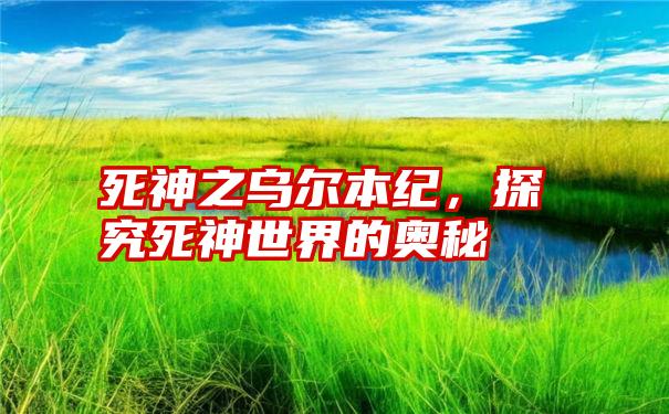 死神之乌尔本纪，探究死神世界的奥秘