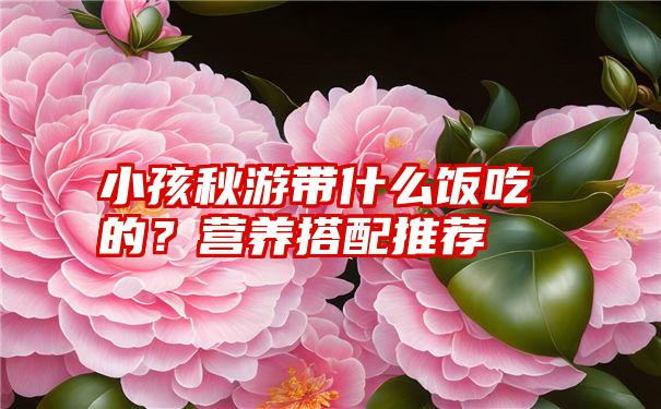 小孩秋游带什么饭吃的？营养搭配推荐