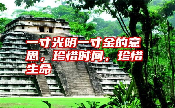 一寸光阴一寸金的意思，珍惜时间，珍惜生命