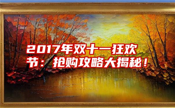 2017年双十一狂欢节：抢购攻略大揭秘！