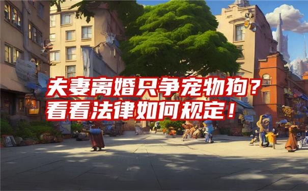 夫妻离婚只争宠物狗？看看法律如何规定！