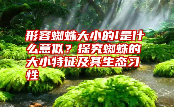 形容蜘蛛大小的l是什么意似？探究蜘蛛的大小特征及其生态习性