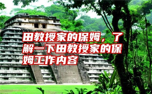 田教授家的保姆，了解一下田教授家的保姆工作内容