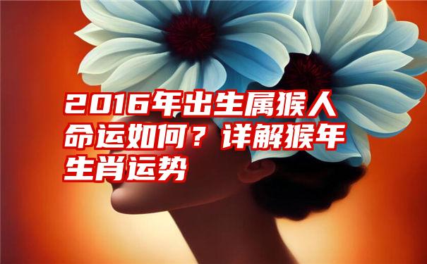 2016年出生属猴人命运如何？详解猴年生肖运势