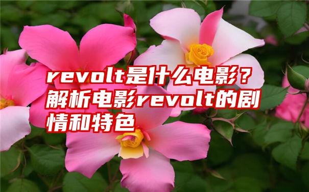 revolt是什么电影？解析电影revolt的剧情和特色