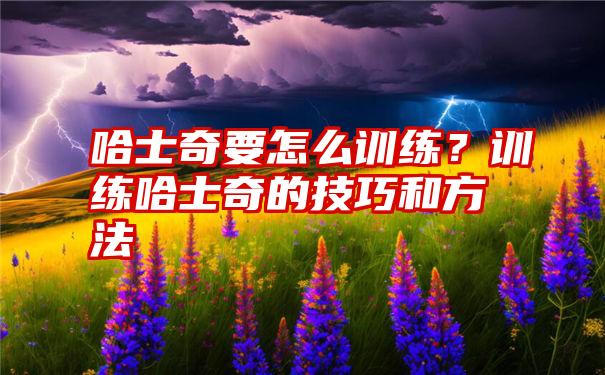 哈士奇要怎么训练？训练哈士奇的技巧和方法