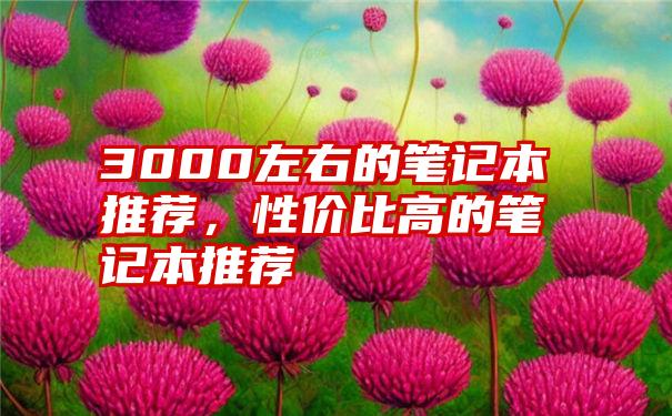 3000左右的笔记本推荐，性价比高的笔记本推荐