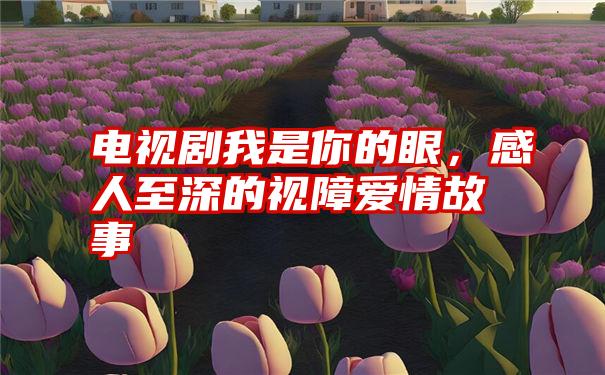 电视剧我是你的眼，感人至深的视障爱情故事