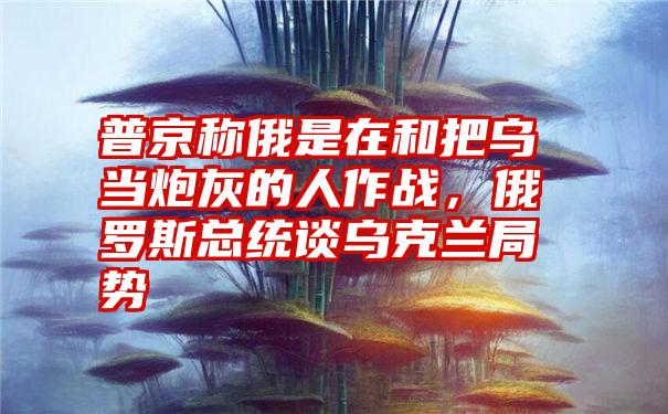 普京称俄是在和把乌当炮灰的人作战,俄罗斯总统谈乌克兰局势