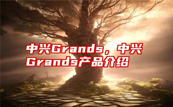 中兴Grands，中兴Grands产品介绍