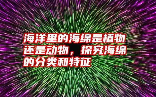 海洋里的海绵是植物还是动物，探究海绵的分类和特征