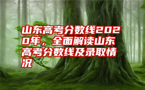 山东高考分数线2020年，全面解读山东高考分数线及录取情况