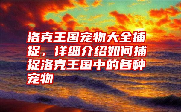 洛克王国宠物大全捕捉，详细介绍如何捕捉洛克王国中的各种宠物